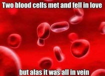 Two blood cells fell in love