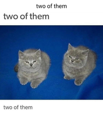 Two of them