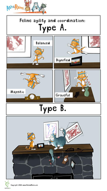 Type A or Type B 