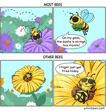 Type Bee