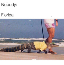 Typical Florida