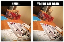 Ugh My Cat is the worst at DMing