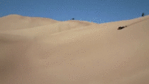 Ultimate sand dune sledding 