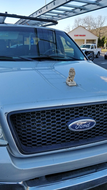 Unique hood ornament