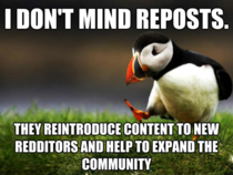Unpopular opinion on reposts