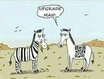 Upgraded Zebra