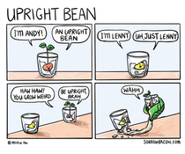 Upright Bean