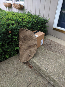 UPS man successfully hides parcel from stealing eyes when no one was home to receive it