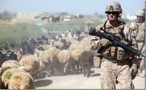 US Marines rescue ISIS sex slaves