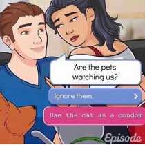 USE CAT
