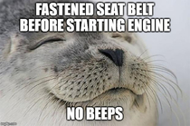 Usually I start the car as soon as I sit down