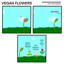 Vegan Flowers