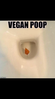 Vegan poop