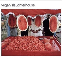 Vegan Slaughterhouse