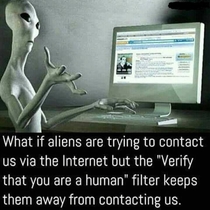 Verify that you are a human