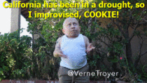 Verne is the man