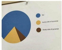 Very accurate pie chart