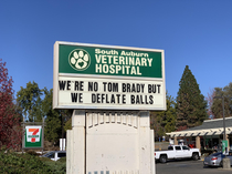 Veterinarian with a sense of humor