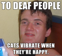 Vibrating cats