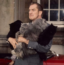 Vincent Price with an armful of cats