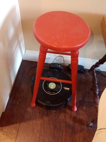 Visiting girlfriends for the holiday their Roomba is in time out
