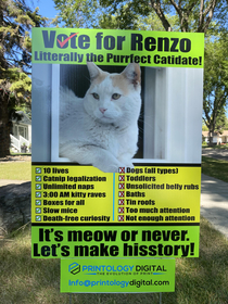 Vote  Renzo