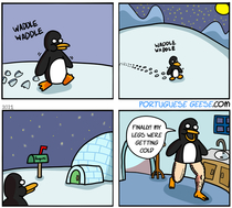 Waddle Waddle