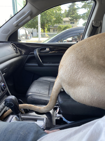 Waiting outside the Vet Good thing our car has a dog charger