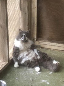 Walked out on the porch and caught my cat in the act like