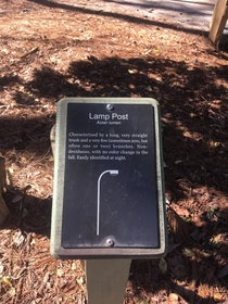 Walking on through my park learning about the local Flora