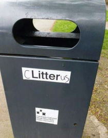 Walking past a bin in Ireland