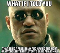 Walking slowly and casually while cars from both directions are waiting on you is just rude Its rush hour and the light is short Stay classy