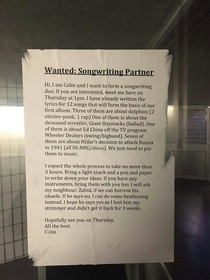 Wanted Songwriting Partner