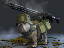 war pug