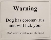 Warning Dog has coronavirus