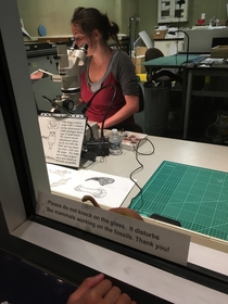 Warning sign at Smithsonian Museum of Natural History