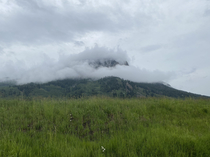 Was biking along when suddenly I discovered Mt Mustache