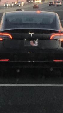 Was driving behind this Tesla with a pic of Elon Musk smoking weed as license plate