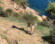 Was Googling pictures of Catalonia when I spotted this camouflaged Spaniard spy