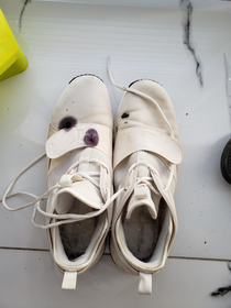 Was hang drying my shoes outside after finally cleaning them and a bird pooped on them