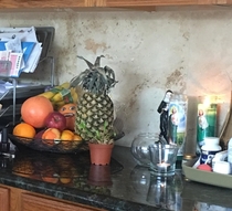 Was having coffee in the kitchen when I look up to the fruit basket