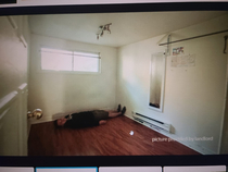 Was looking for an apartment Found a listing which measured the Room size with Human for Scale