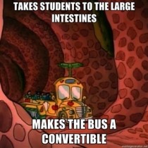 Was reliving my childhood when I noticed Scumbag Ms Frizzle