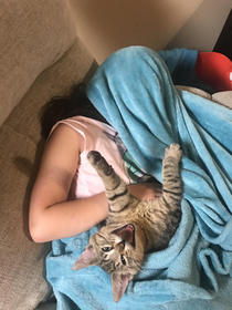 Was trying to take a photo of how my kid fell asleep Ended up with the greatest photo our cat has ever taken