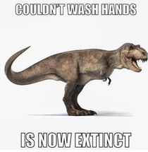 Wash your hands 