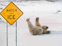 Watch for Ice