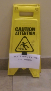 Watch out for snakes 