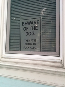 Watch out for the cat