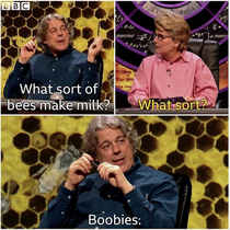 Watched QI tonight and laughed waaaay too hard at this joke D