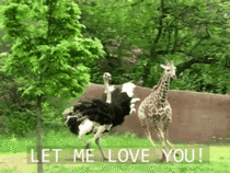 Watching my kids interact